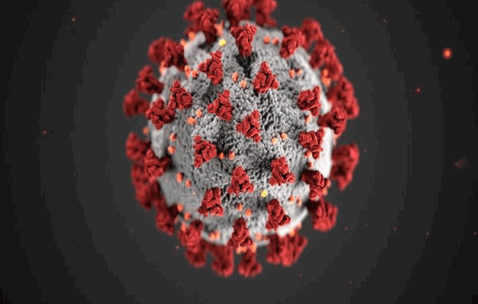 11 MRTVIH: <span style='color:red;'><b>Zvanično</b></span> 701 novi slučaj koronavirusa